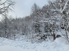 -雪谷