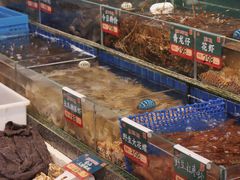 水产区-飞尝蚝·顺德菜·鱼生(顺德总店)