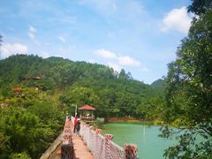 -广州白江湖森林公园