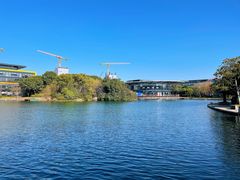 -金桥现代产业园区-停车场