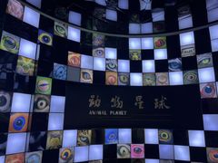 -重庆自然博物馆(新馆)