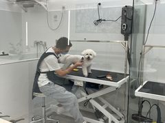 -comecome来吧宠物(奥克斯中心店)