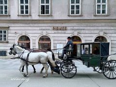 -斯蒂芬主教座堂(Stephansdom)