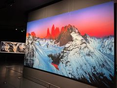 -罗红摄影艺术馆