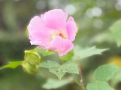 -雅达·阳羡溪山小镇中心