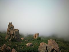 -白草畔自然风景区