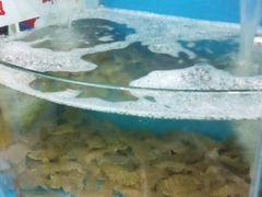 -日照大牌檔•小船海鲜(万平口店)