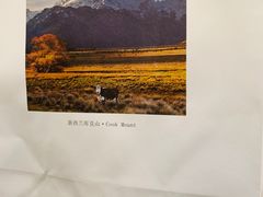 -我是酸奶君(壹方城店)