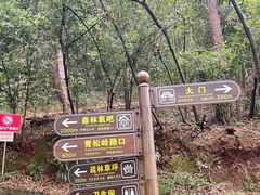 -三门江国家森林公园