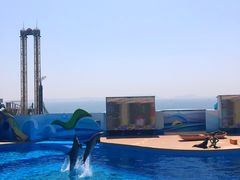 -Apple 零售店(Canton Road)