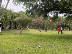 -万绿园