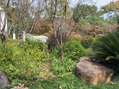 -东航云逸酒店(九溪烟树店)