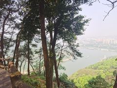 -铁山坪森林公园