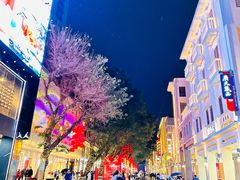 -大佛寺高级素食自助餐厅