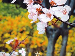 -美兰湖景区