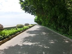 -大湾区中央湿地公园