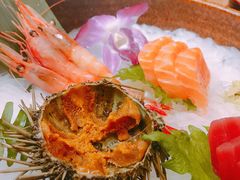 刺身拼盘-割烹旭日本料理(龙湖狮山天街店)