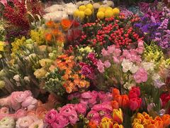 -朝来春花卉市场