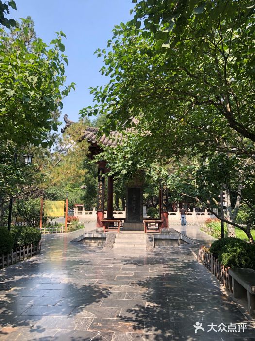 唐槐公园-景点-环境-景点图片-太原周边游-大众点评网