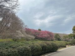 -南京市江宁方山