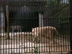 -广东茂名森林公园