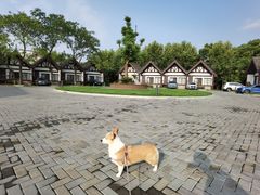 -太阳岛度假酒店