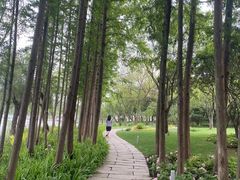 -渤公岛生态公园