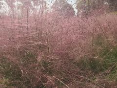 -钟山体育运动公园