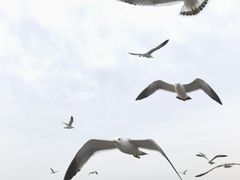 -面道场(森茂店)