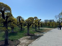 -西海子公园