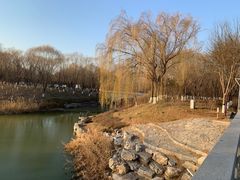 -大兴滨河森林公园