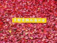 -关西国际机场直营免税店