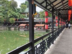 -侨美·唐荔园·40年地道粤菜