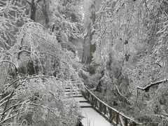 -龙苍沟森林公园