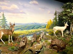 -陕西自然博物馆