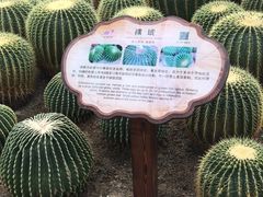 -南山植物园