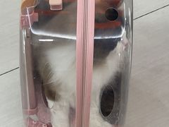 -全心全意连锁动物医院·微创中心·内科急重症·心脏专科(丰管路店)