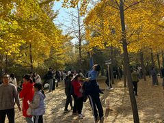 -森林公园(尖草坪区)