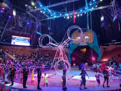 -俄罗斯国家大马戏团