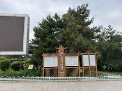 -帽儿山国家森林公园