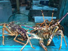-海逸海鲜酒家(古北店)