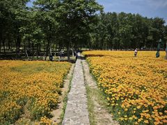 -江苏三台山国家森林公园