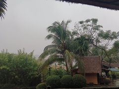 -海南槟榔谷黎苗文化旅游区