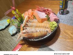 -左舞日本料理