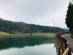 -武陵山森林公园