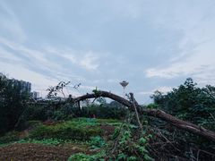 -惠王陵(地铁站)