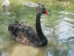 -北京麋鹿生态实验中心