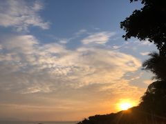 -深圳湾公园(南山区)