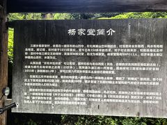 -杨家堂村
