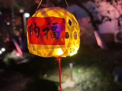 -杭州黄龙洞